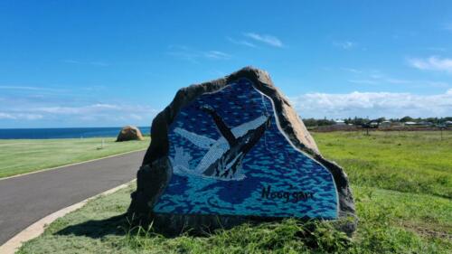 Mosaics at Whale Lookout